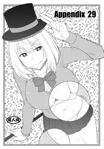 Appendix 29