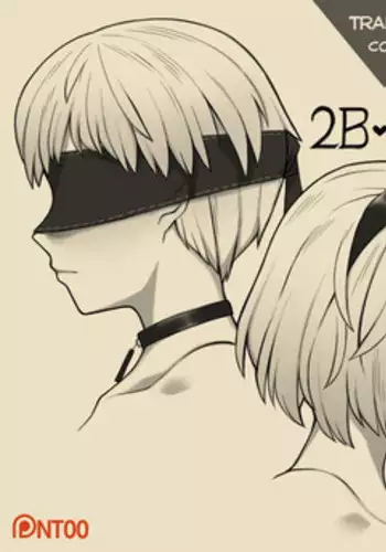 [NT00] 2B 9S (Nier:Automata) [English] [Sair]