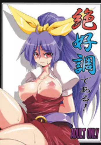 (C76) [BURUMAN (Tajima Yuki)] Zekkouchou de Aru! (Touhou Project)