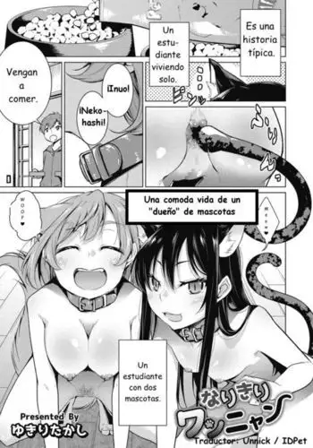 Una cómoda vida de un "dueño" de mascotas